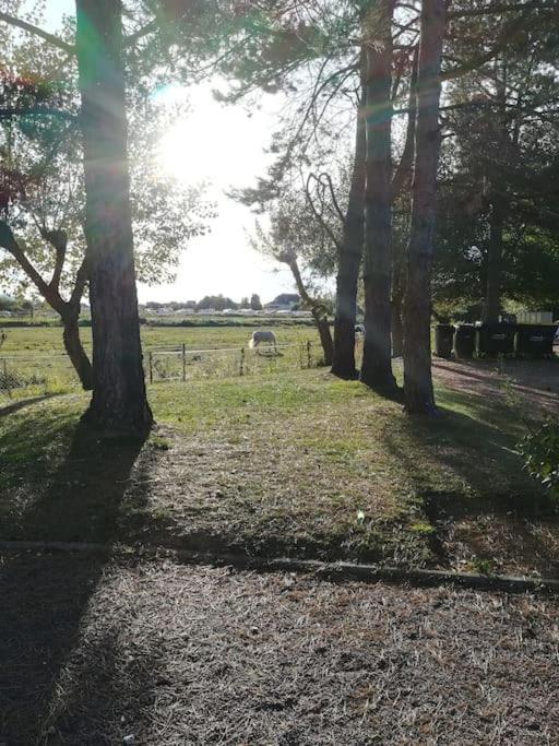 L'appart de Blonville à 250m de la plage Extérieur photo